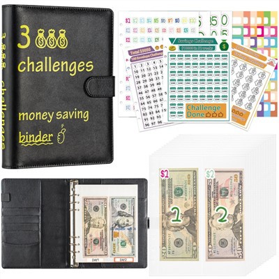 Organizator de bani pentru buget